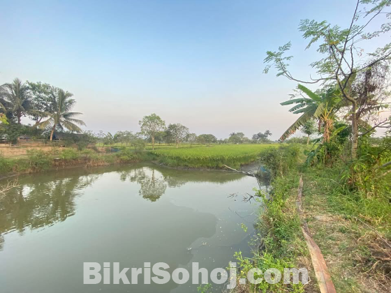 ফসলি জমি ধান মাছ চাষ করা হয়।